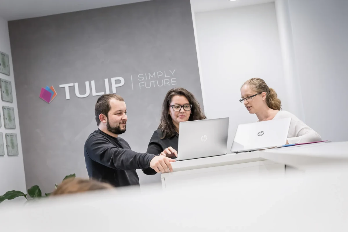 TULIP