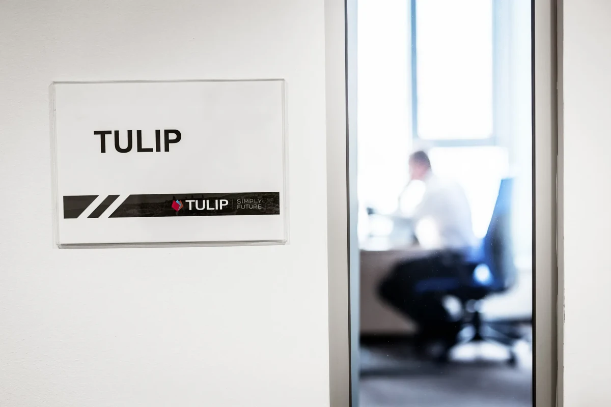 TULIP
